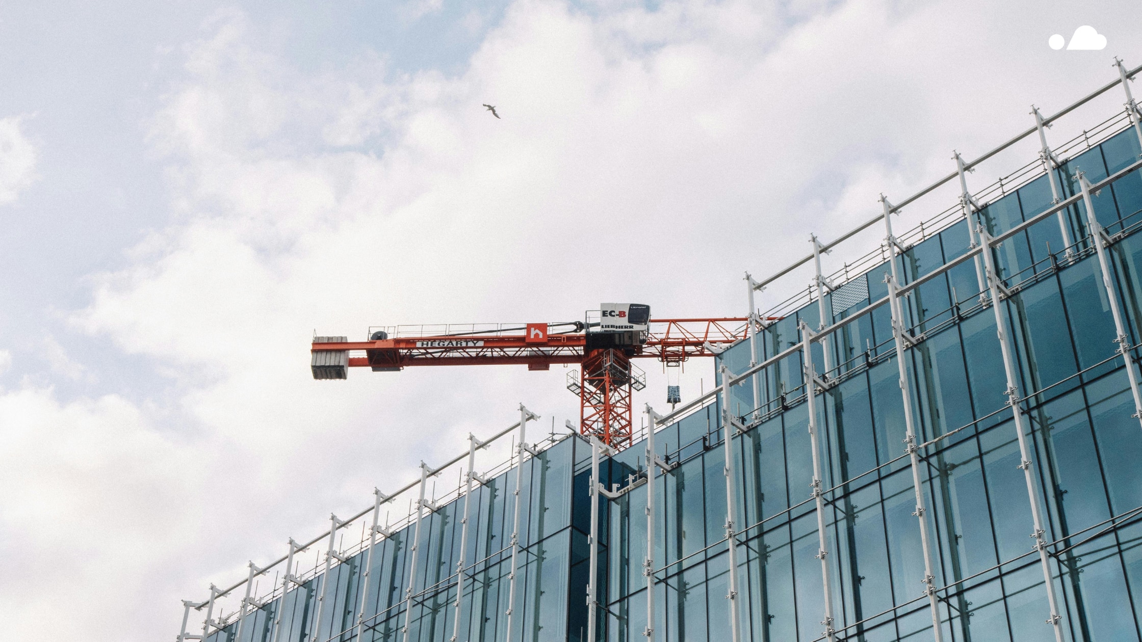 Photo of a crane